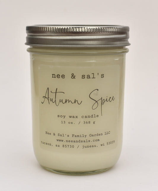 Autumn Spice soy candle 13 oz.