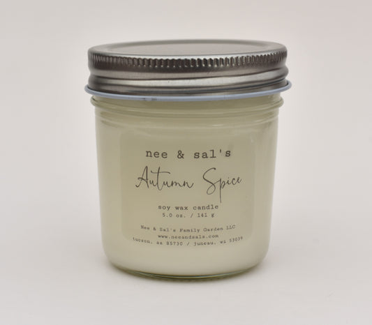 Autumn Spice soy candle 5 oz.